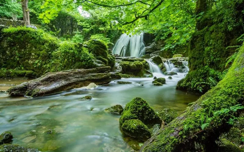 高效智慧制造独特